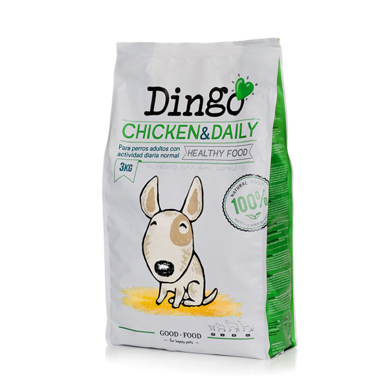0006_chickenanddaily-adulto-3-dingo-dingonatura